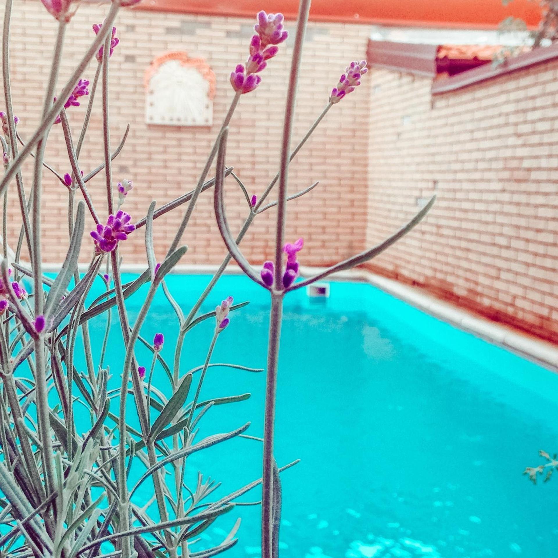 La Villa Di Bambi Vanzago Buitenkant foto